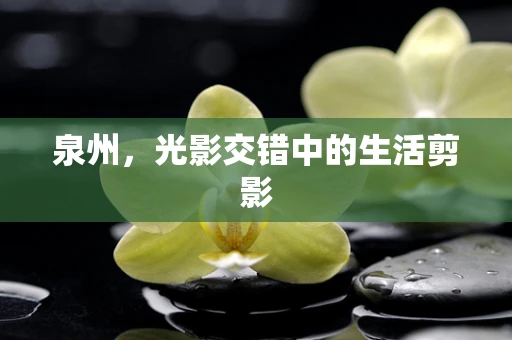 泉州，光影交错中的生活剪影