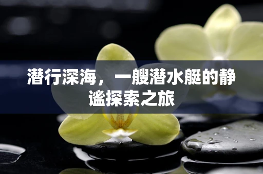 潜行深海，一艘潜水艇的静谧探索之旅