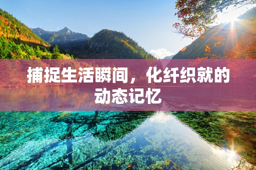 捕捉生活瞬间，化纤织就的动态记忆