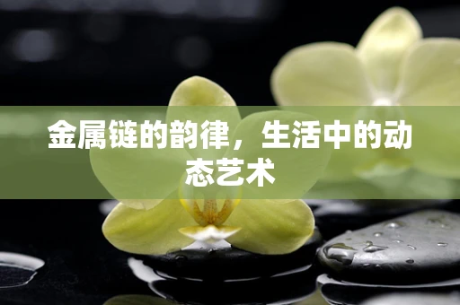 金属链的韵律，生活中的动态艺术