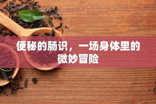 便秘的肠识，一场身体里的微妙冒险