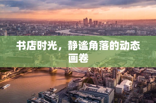 书店时光，静谧角落的动态画卷