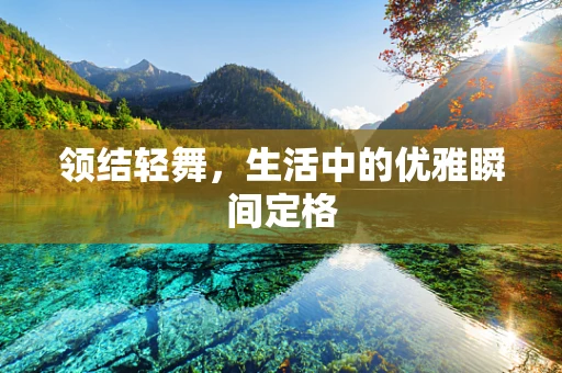 领结轻舞，生活中的优雅瞬间定格