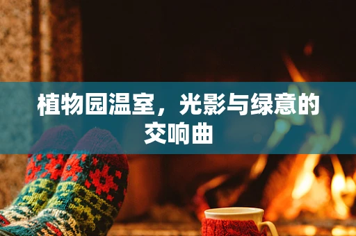 植物园温室，光影与绿意的交响曲