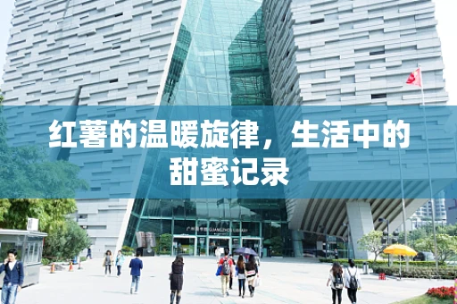 红薯的温暖旋律，生活中的甜蜜记录