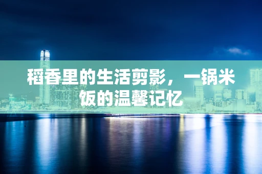 稻香里的生活剪影，一锅米饭的温馨记忆