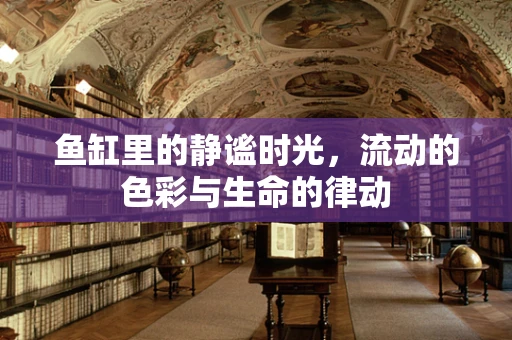 鱼缸里的静谧时光，流动的色彩与生命的律动