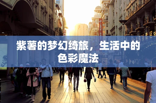 紫薯的梦幻绮旅，生活中的色彩魔法