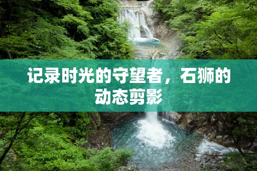 记录时光的守望者，石狮的动态剪影
