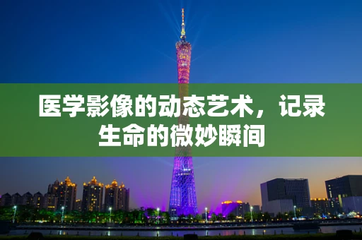 医学影像的动态艺术，记录生命的微妙瞬间