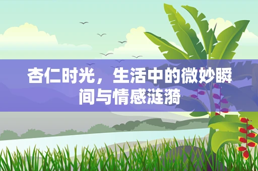 杏仁时光，生活中的微妙瞬间与情感涟漪