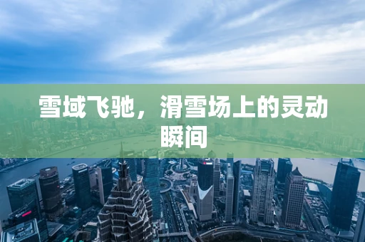 雪域飞驰，滑雪场上的灵动瞬间