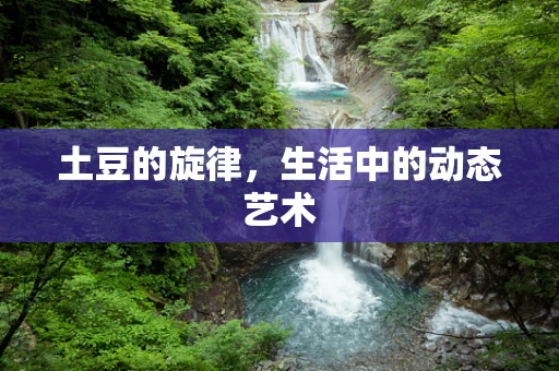 土豆的旋律，生活中的动态艺术