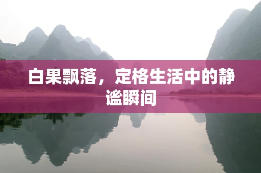 白果飘落，定格生活中的静谧瞬间