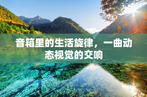 音箱里的生活旋律，一曲动态视觉的交响