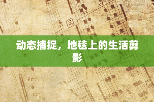 动态捕捉，地毯上的生活剪影