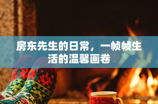 房东先生的日常，一帧帧生活的温馨画卷