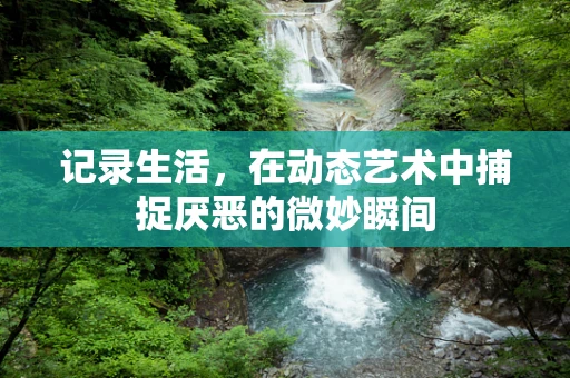 记录生活，在动态艺术中捕捉厌恶的微妙瞬间