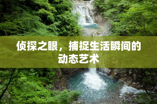 侦探之眼，捕捉生活瞬间的动态艺术