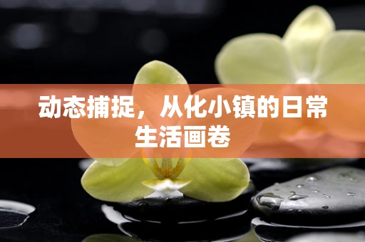 动态捕捉，从化小镇的日常生活画卷