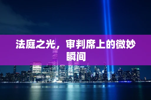 法庭之光，审判席上的微妙瞬间