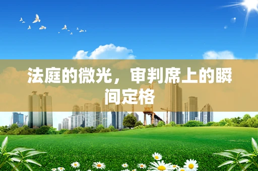 法庭的微光，审判席上的瞬间定格
