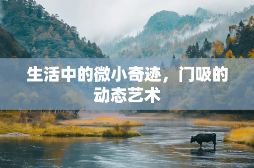 生活中的微小奇迹，门吸的动态艺术