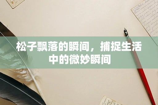 松子飘落的瞬间，捕捉生活中的微妙瞬间