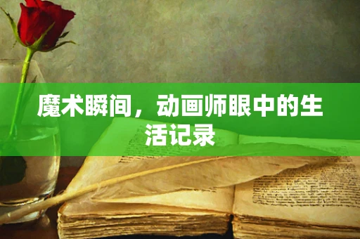 魔术瞬间，动画师眼中的生活记录