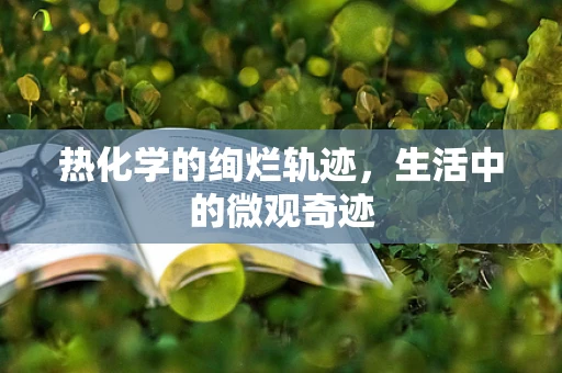热化学的绚烂轨迹，生活中的微观奇迹