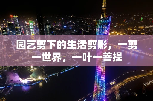 园艺剪下的生活剪影，一剪一世界，一叶一菩提
