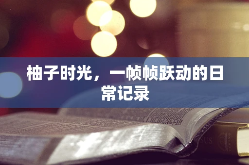 柚子时光，一帧帧跃动的日常记录
