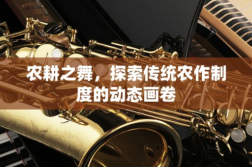 农耕之舞，探索传统农作制度的动态画卷
