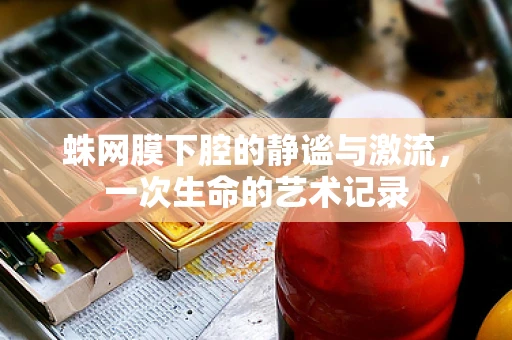 蛛网膜下腔的静谧与激流，一次生命的艺术记录