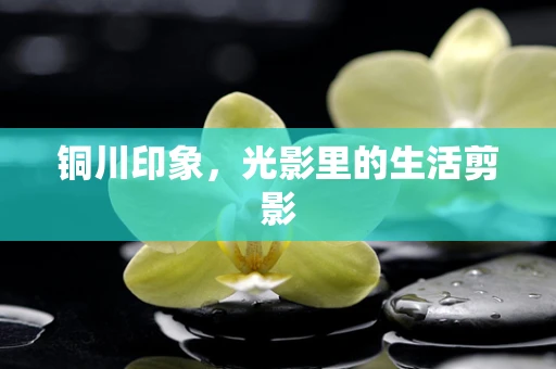 铜川印象，光影里的生活剪影