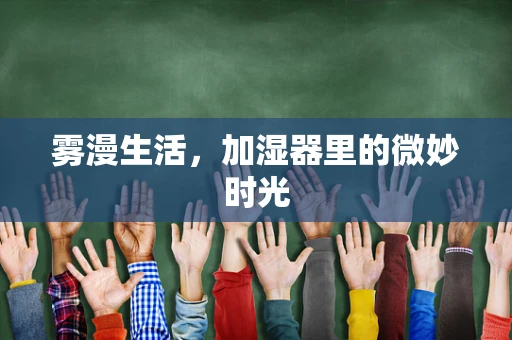 雾漫生活，加湿器里的微妙时光
