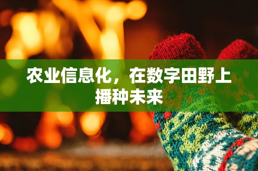 农业信息化，在数字田野上播种未来