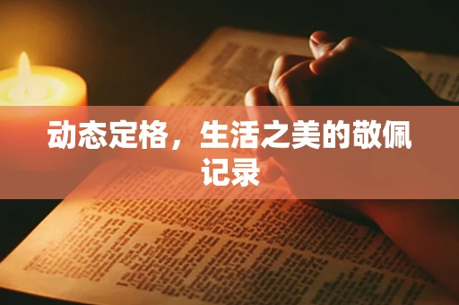 动态定格，生活之美的敬佩记录