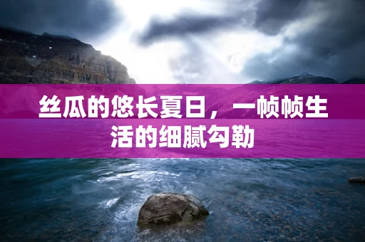 丝瓜的悠长夏日，一帧帧生活的细腻勾勒