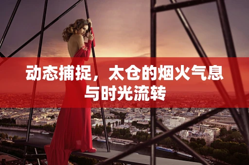 动态捕捉，太仓的烟火气息与时光流转