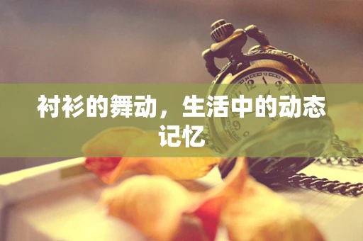 衬衫的舞动，生活中的动态记忆
