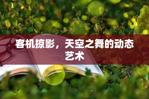 客机掠影，天空之舞的动态艺术