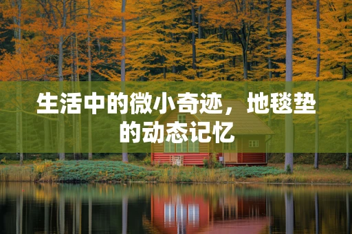 生活中的微小奇迹，地毯垫的动态记忆