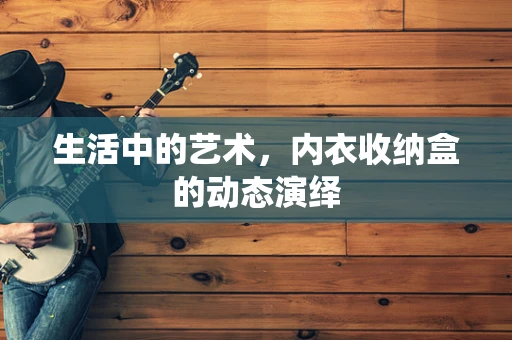 生活中的艺术，内衣收纳盒的动态演绎