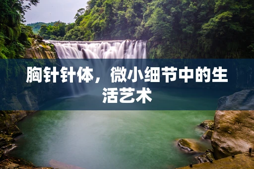 胸针针体，微小细节中的生活艺术