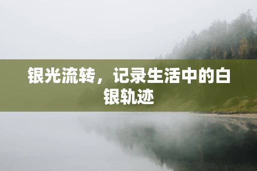 银光流转，记录生活中的白银轨迹