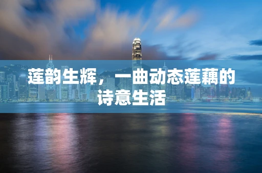 莲韵生辉，一曲动态莲藕的诗意生活