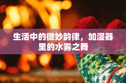 生活中的微妙韵律，加湿器里的水雾之舞