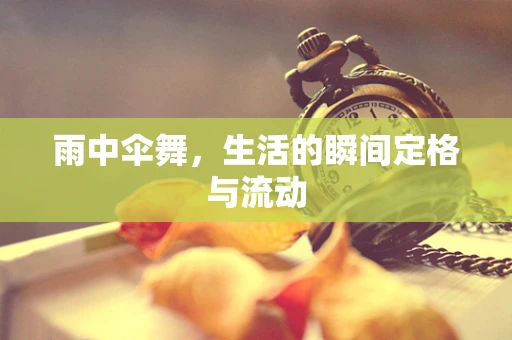雨中伞舞，生活的瞬间定格与流动