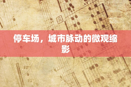 停车场，城市脉动的微观缩影